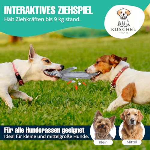 Hundespielzeug ohne Füllung, Quietschendes Plüschspielzeug, Robustes Kauspielzeug & Beschäftigung für kleine und mittelgroße Hunde, (Kaninchen) von Kuschelfreunde