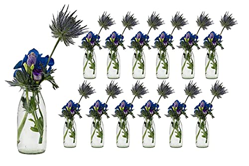 Jarrones Cristal Pequeños para Flores Marca casavetro