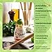 Yondu Vegetable Umami Essence - Premium, Vegan Plant-Based Sauce for Mild & Flavorful Cooking. Great for Soups, Stir-fries & Sauces. (5.1fl oz / 150mL, Organic, Gluten Free)