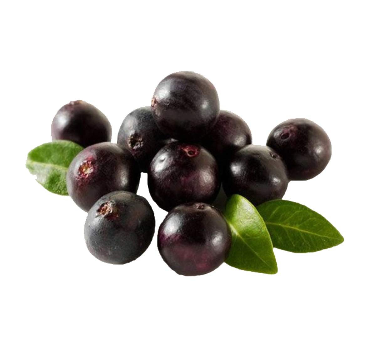 Nema Jabuticaba Fruit Seeds-10Pcs (B07SG26Y2B) Amazon Price History, Amazon Price Tracker