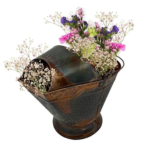 Pellethead Antique Distressed Brass Coal Hod