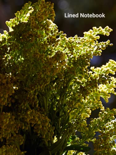 Lined Notebook. School, Office And Personal Supplies: Art, Science, Technology, Literature, Creativity And More. 100 Pages.