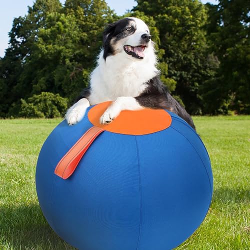 Grande balle gonflable pour chien bleue résistante - 3