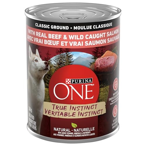 Purina ONE Classic Ground True Instinct Wet Dog Food, Beef & Salmon - 368 g Can (12 Pack) image 1