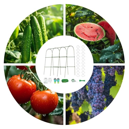 Enrejado de metal resistente con marco en U para tomateras 5