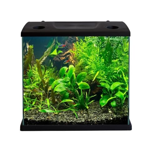 Aquariumline Cleo Plus 22,5L – Acquario Completo con Filtro Interno – 34,5 x 23,5 x 33,5 cm colore nero