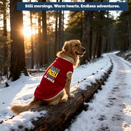 Image of JoyDaog Cozy Dog Winter Coat Red Color 26 Inch(3XL)- inchHASS Mat Pagli Pyaar Ho Jayega inch Printed Soft Trendy Apparel for XL Dogs | Indoor & Outdoor