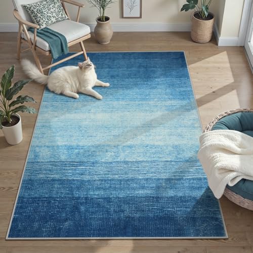Wonnitar Modern Ombre Area Rug 4x6, Washable Blue Rugs for Living Room, Non-Slip Dining Room Throw Mat, Contemporary Indoor Accent Floor Carpet for Laundry Kitchen Entrance Mudroom (Blue, 4'x6')