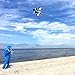 Kaiciuss Delta Kite for Kids & Adults Easy to Fly Large, Sing Line for Beginners, Easy Flying Kite for Boys & Girls with 4 Ribbon and 300 ft String Handle