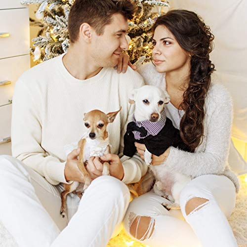 Dog Crate, Folding Portable Outdoor Large Two Door Metal Cat Dog Cage With Abs Tray Lc Panel Floor Protecting Feet Wire Animal Pet Dog Kennel With Divider #TOP2