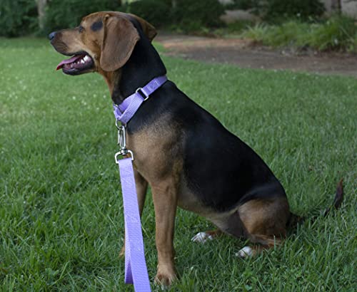 Country-Brook-Design-Lavender-Martingale-Heavyduty-Nylon-Dog-Collar-21-Vibrant-Color-Options-1-Inch-Width-Medium