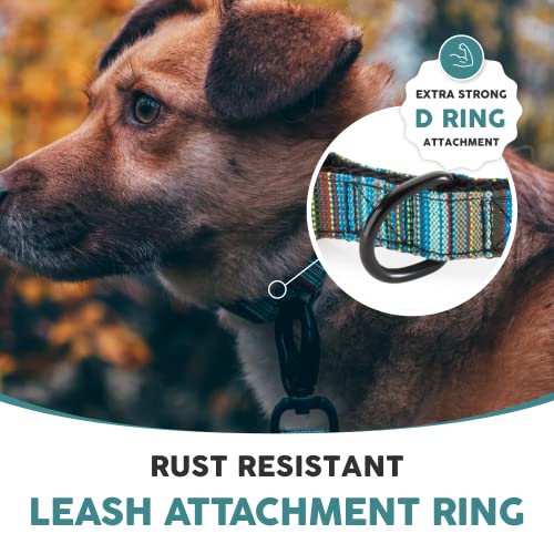 Embark Urban Hundehalsband, mittelgroße und große Hunde (Boho, Medium)