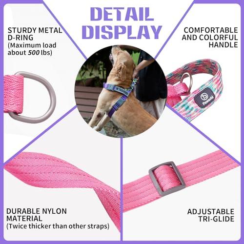 Paworld Dog Harness, Anti Pull Dog Harness Small, Service Dog Vest with 4 PCS Reflective Patches, 2 Buckles with Safety Lock - Image 3