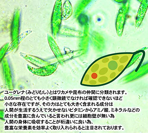 Amazon | 大容量（約6ヵ月分/360粒）みどりむし+大麦若葉+クロレラ