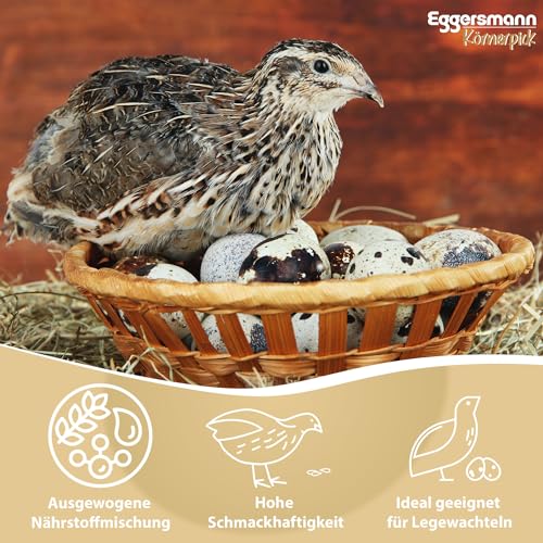 Eggersmann Körnerpick Wachtel Futter 10 kg – GVO-freies Alleinfutter für Wachteln –Schmackhaftes Wachtelfutter mit schnabelgerechter Körnung – Ausgewogene Körnermischung für Legewachteln