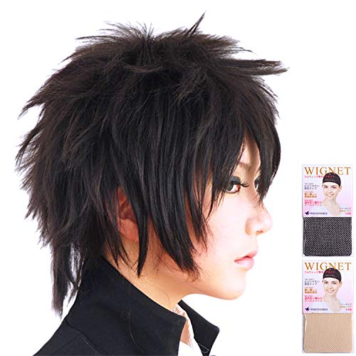 CaseEden (Case Eden) Prince Kirihara Aka也 Certain Magical Kamijo Toma Air Gear MinamiTatsuki Gintama Hijikata Toshiro Hitman Kyoya Hibari wig short 30cm heat-resistant black black hair black & white Mel for Cosplay of tennis Choi wig net two sets (