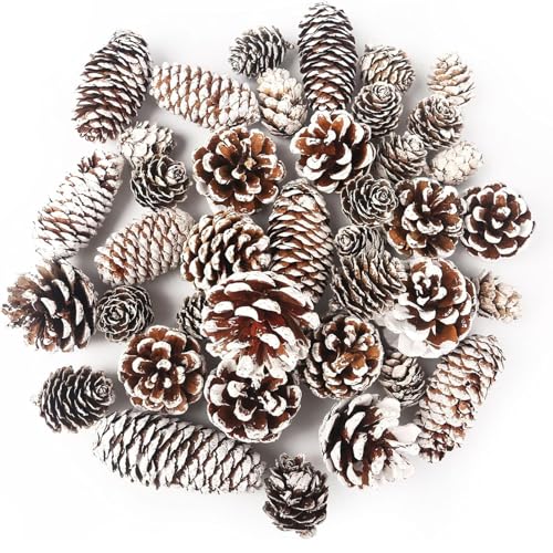 DOMESTAR 40 PCS Snow Pine Cones for Crafts, Natural Cones Bowl Fillers