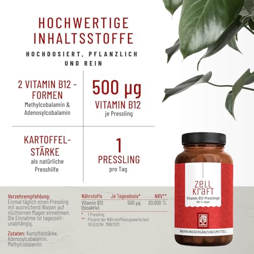 Vitamin B12 Vegan - 500 µg pro Tag - 270 Tabletten für 9 Monate - Beide aktive B12 Formen Adenosyl- & Methylcobalamin - Zellkraft B12 Komplex hochdosiert und laborgeprüft