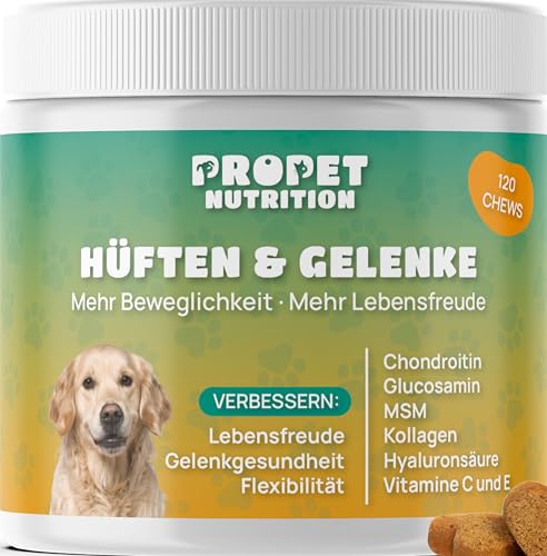 Gelenktabletten Hund. 120 Leckere Snacks. Glucosamin, Chondroitin & Hyaluron MSM, Mit Vitaminen. Hohe Akzeptanz Beim Hund. Unterstützung der Gelenkfunktion. Gelenktabletten für Hunde