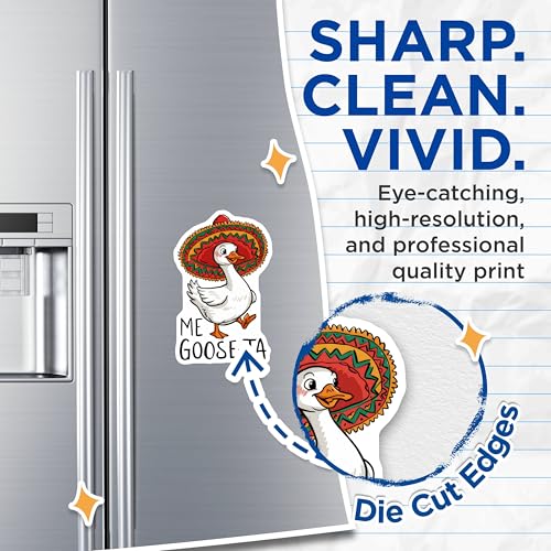 2 imanes divertidos para refrigerador 5 pulgadas miniatura 2