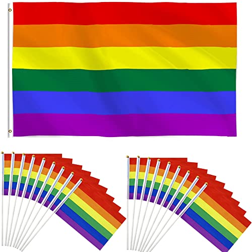 Drapeau LGBT Coloré Arc en Ciel 150x90cm et Lot de 20 Petit Drapeaux Tenus Gay avec Baton 2 oeillets Métalliques Bannière Colorée de Paix Couleurs Vives Intérieur Extérieur Fete Décoration Célébration Cover