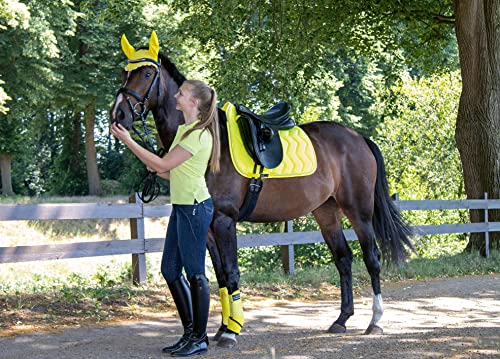 Foto von HKM Cassandra Softice Schabracke kornblau/silber Pony Dressur
