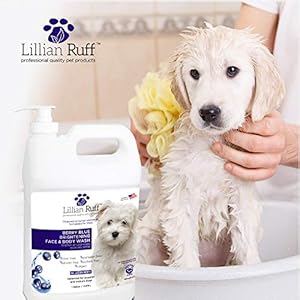 Lillian Ruff Berry Blue Brightening Face and Body Wash for Dogs – Blueberry Shampoo – Remove Tear Stains, Hydrate Dry Itchy Skin, Add Shine & Luster to Coats (Berry Blue Shampoo Gallon/Pump)