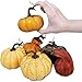 Package of 6 Assorted Artificial Frosted Gourds and Pumpkins Harvest Pumpkins for Fall Wedding Thanksgiving Halloween Seasonal Holiday Tabletop Decoration Centerpiece