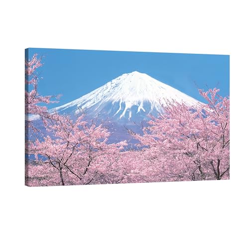 A[gpl xmR  |X^[ _  Ǌ| Ǐ i Ǌ| փz[ G  ʐ^i ؐt[ (40x60 CM, xmR̃|X^[5)