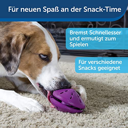 PetSafe Twist-n-Treat Hundespielzeug, Befüllbares Snackspielzeug mit anpassbarer Ausgabe, Spülmaschinenfest, Lila
