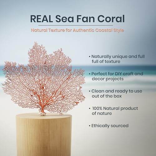 Image of Sea Fan Coral 7-10 inch - Nautical Decorations - Beach Home Decor - Decorative Coral (Pack of 2)