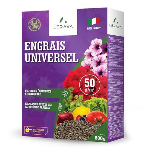 LERAVA - LERAVA engrais orto - 800g