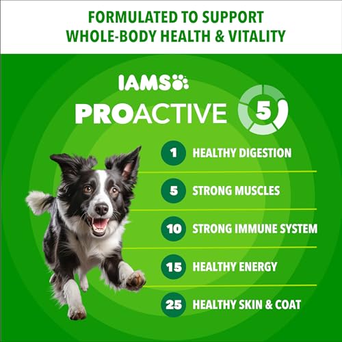 Image of IAMS Proactive Health Adult Minichunks Dry Dog Food, Chicken, 5 lb