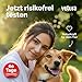 Vetura Probiotika-Mix für Hunde - 200 g - Natürliches Probiotika-Pulver - Präbiotika & Probiotika - Zur Unterstützung Einer gesunden Darmflora - Ohne künstliche Zusatzstoffe - Made in Germany