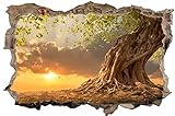 DesFoli Baum Savanne Afrika 3D Look Wandtattoo 70 x 115 cm Wanddurchbruch Wandbild Sticker Aufkleber D390