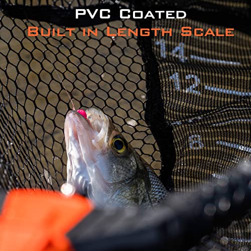 image for KastKing Pontus Fishing Net, Foldable & Lightweight Landing Net with B