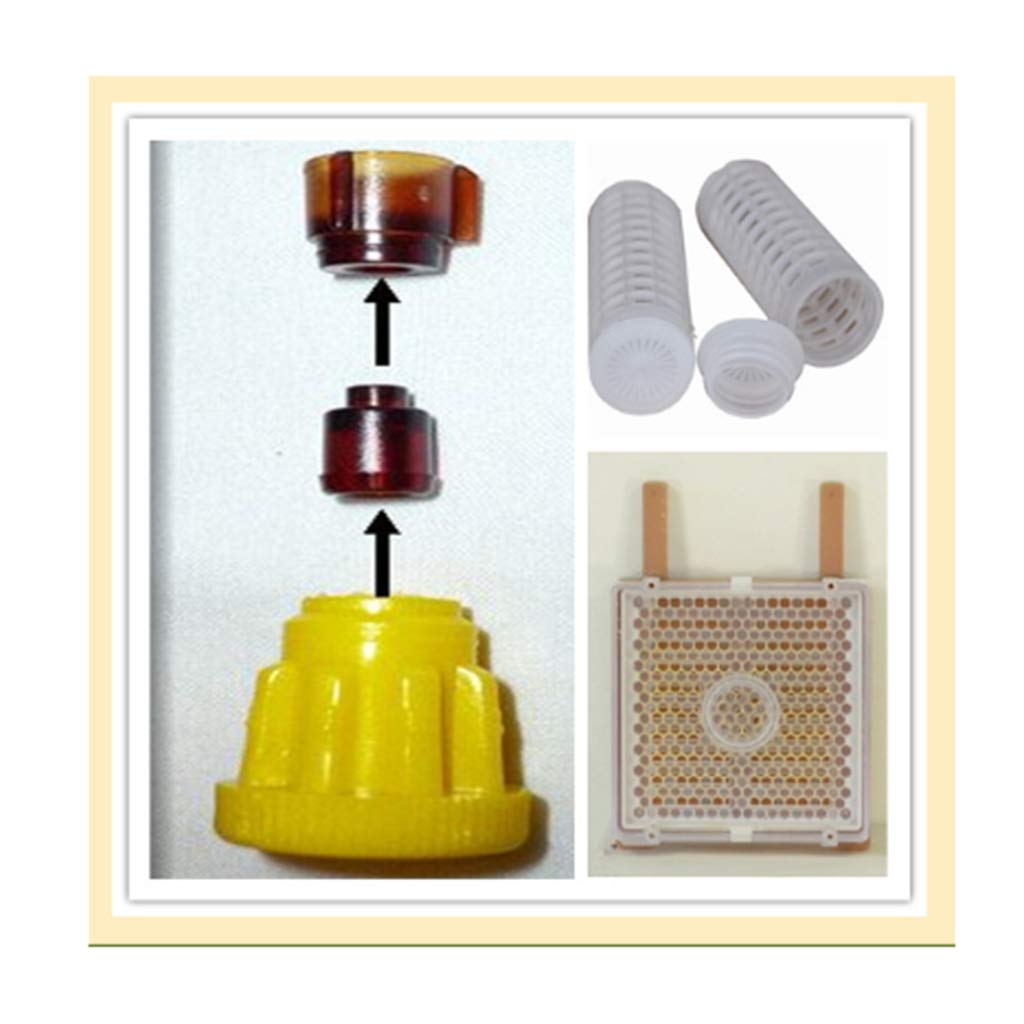 Kit complet d'élevage de la reine Jenter Queen pour l'élevage des abeilles, pour enlever les abeilles, mangeoires à oiseaux suspendues pour l'extérieur pour l'extérieur Mangeoire à oiseaux et poteaux
