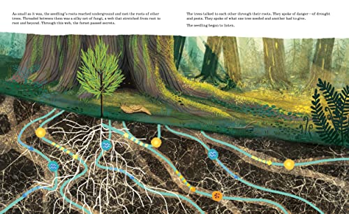 Listen To The Language Of The Trees: A Story Of How Forests Communicate Underground #TOP5