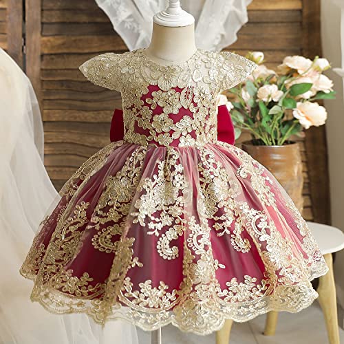 Image of HNXDYY Little Girls Princess Dress Girls Fancy Party Costume