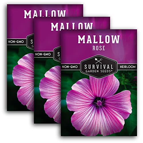 Survival Garden Seeds - Rose Mallow Seed for Planting - 3 Packs with Instructions to Plant and Grow Bright Pink Native Wildflower in Your Home Vegetable Garden - Non-GMO Heirloom Variety