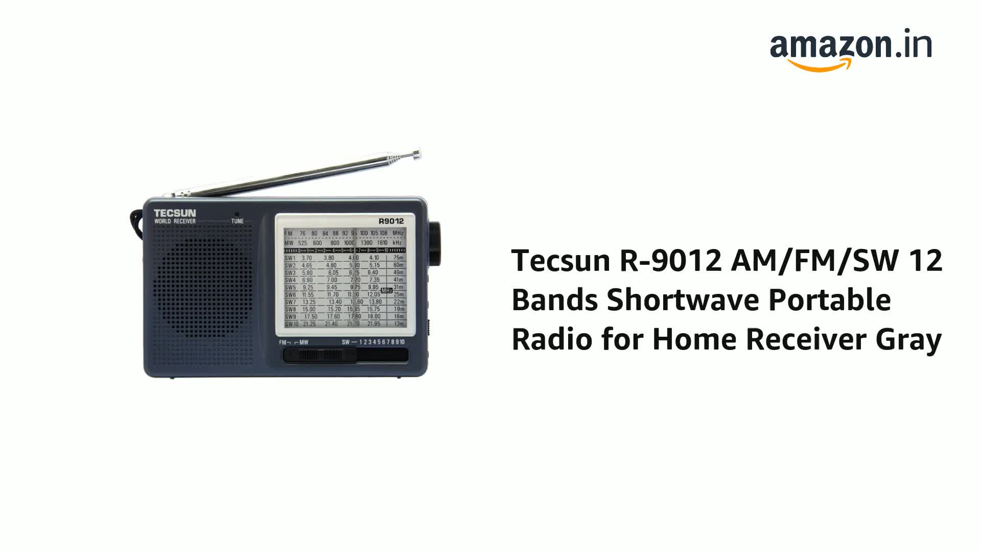 TECSUN R-9012 ブラウン ラジオ Tecsun R-9012 AM/FM/SW 12 Bands