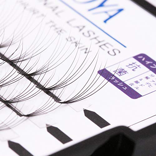 Premade Volume eyelash Extensions 5D Individual Cluster Lashes 0.07mm B Curl Mink Lashes(5D) (12mm)