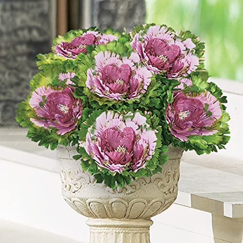 Collections Etc Artificial Purple Cabbage Roses Use Separately for Smaller Arrangements or Together for a Stunning Arrangement - Set of 6