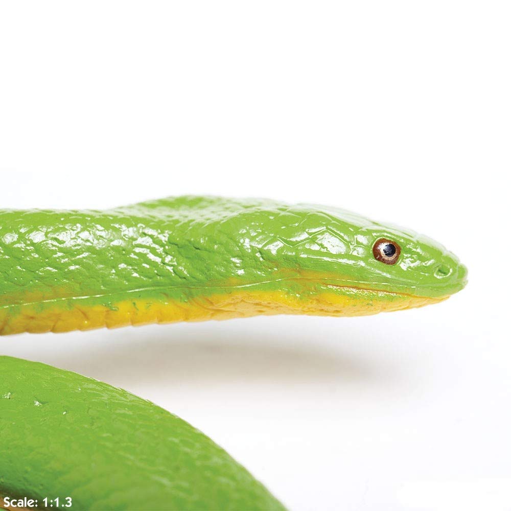 ヘビ　フィギュア Amazon | Baosity ヘビフィギュア動物の置物、プラスチック製の