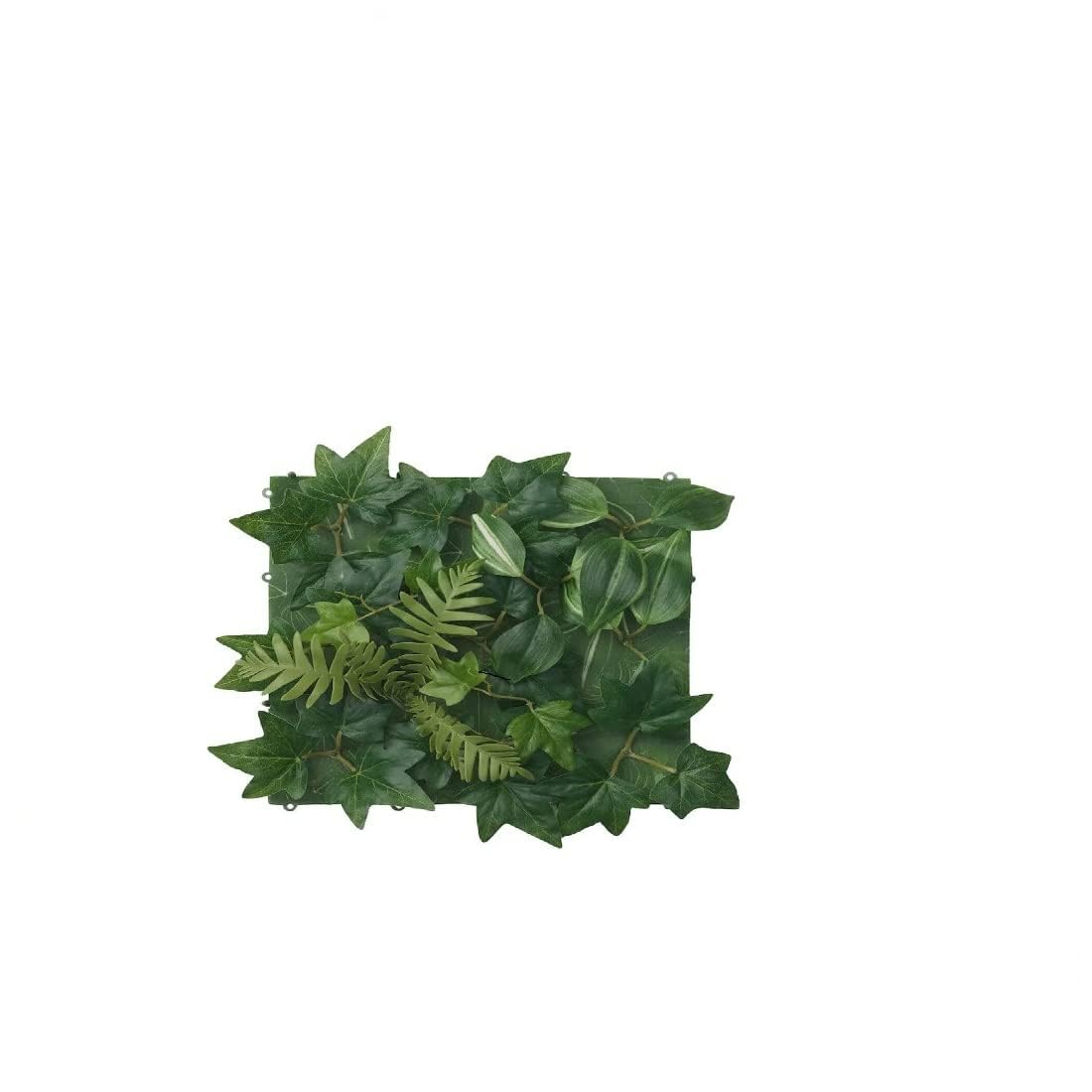 世界に一つの壁掛け植物アート seisin39_nn6u6k6n61
