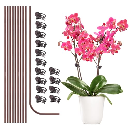 10Pcs Plant Support Stakes with 15pcs Plant Clips,15.7 Inches Bendable Plant Sticks for Indoor and Outdoor Plants,Single Stem Flower Stakes for Phalaenopsis Orchid Flower Roses(Brown)