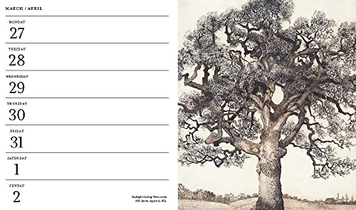 V&A Pocket Diary 2023: Visions of Nature - Image 4