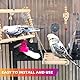 8-teiliges Vogelspielzeug Set, Papageienspielzeug, Naturholz Kauspielzeug für Käfig und Training, geeignet für Wellensittiche, Conures und Lovebirds