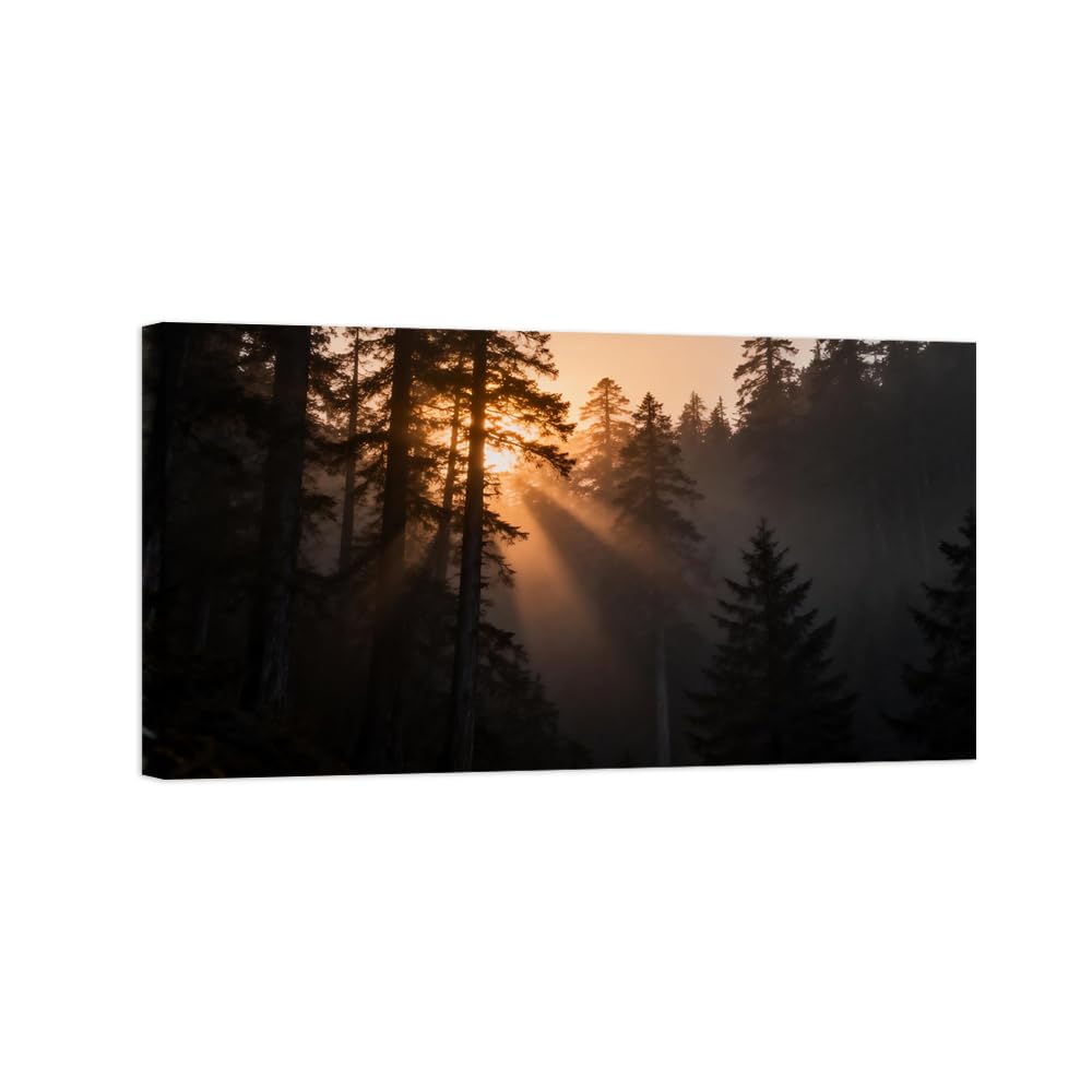 OZPWBVY Black and White Landscape Print Painting-Forest Tree Sunrise 2-Minimalist Canvas Wall Art Picture for Home Ready to Hang 24x42in 60x108cm Wrapped Canvas