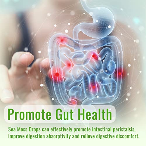 Dilib Irish Sea Moss Liquid Drops: 2000Mg, Organic Bladderwrack, And Burdock Root, Spirulina, Thyroid Support, Support For Digestion And Skin, Joint Health, Herbal Supplements- Apple Cider Vinegar #TOP7